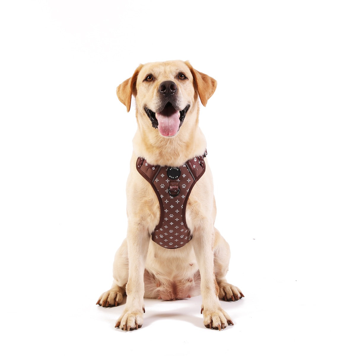 Bruin reflecterend anti-trek Y-tuig - By Lilo - in gebruik