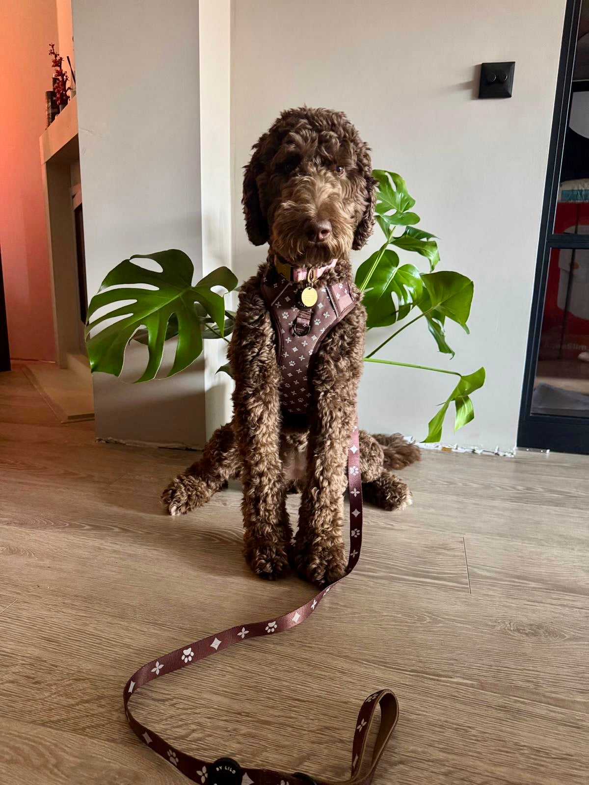 Reflecterende bruine hondenriem - By Lilo - zijaanzicht