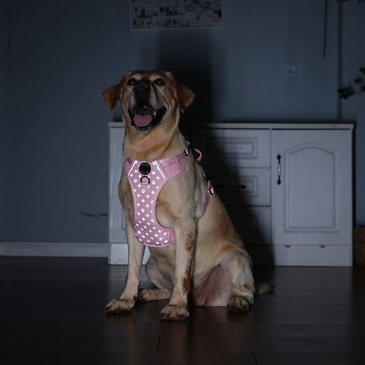 Roze reflecterende hondenharnas met riem set - By Lilo - in gebruik