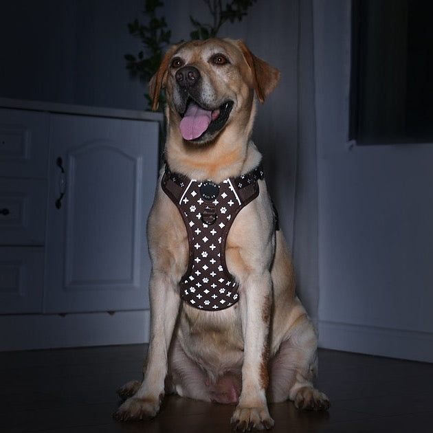 Bruin reflecterend anti-trek Y-tuig - By Lilo - zijaanzicht