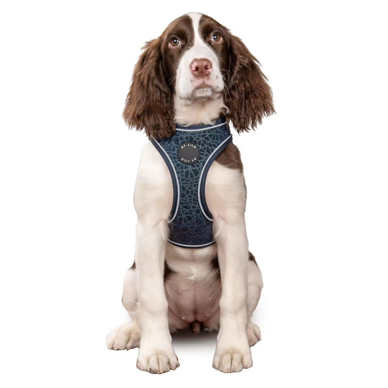 Reflecterend hondenharnas - By Lilo - close-up