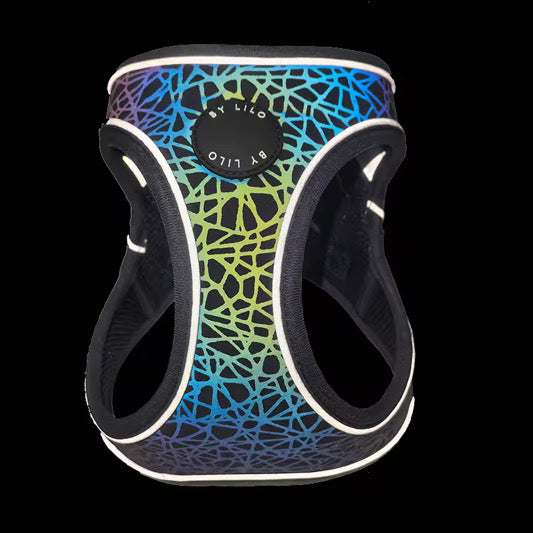 Reflecterend instapharnas met bijpassende riem - By Lilo - in gebruik