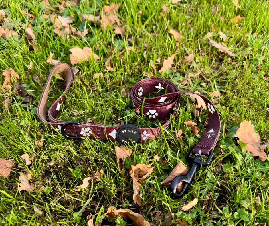 Reflecterende bruine hondenriem - By Lilo