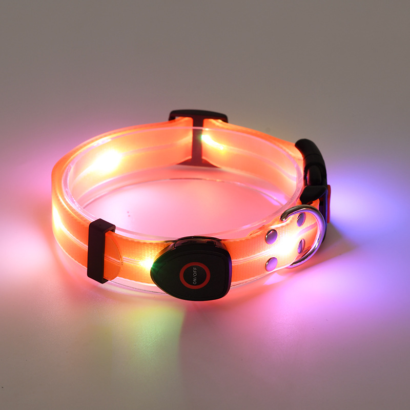 Lichtgevende LED hondenhalsband - By Lilo - in gebruik