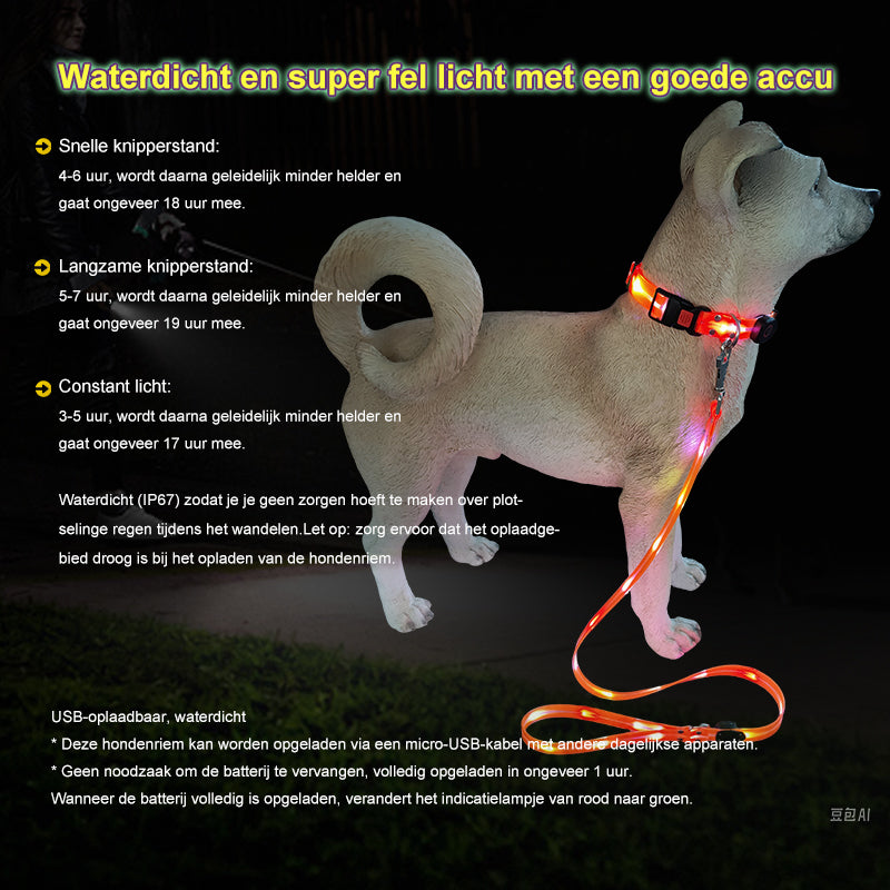 Lichtgevende LED hondenriem - By Lilo - zijaanzicht