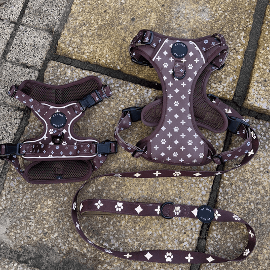 Bruin Reflecterende Harnas + Riem Bundel - By Lilo