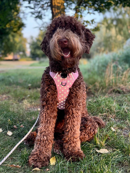 Roze reflecterend anti-trek Y-tuig - By Lilo