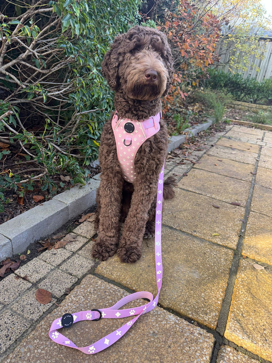 Roze reflecterende hondenharnas met riem set - By Lilo