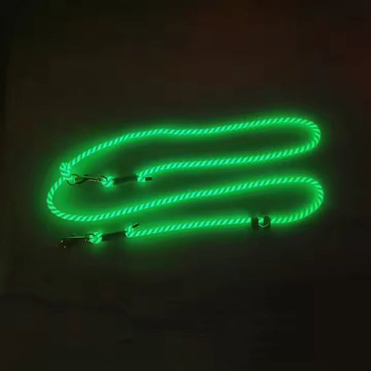 Glow - in - the - dark hondenriem - By Lilo