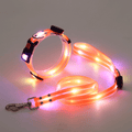 Led halsband en riem combinatie - By Lilo