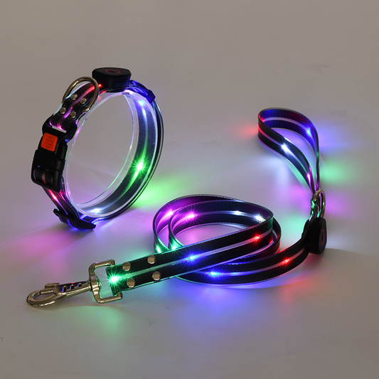 Led halsband en riem combinatie - By Lilo