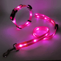 Led halsband en riem combinatie - By Lilo