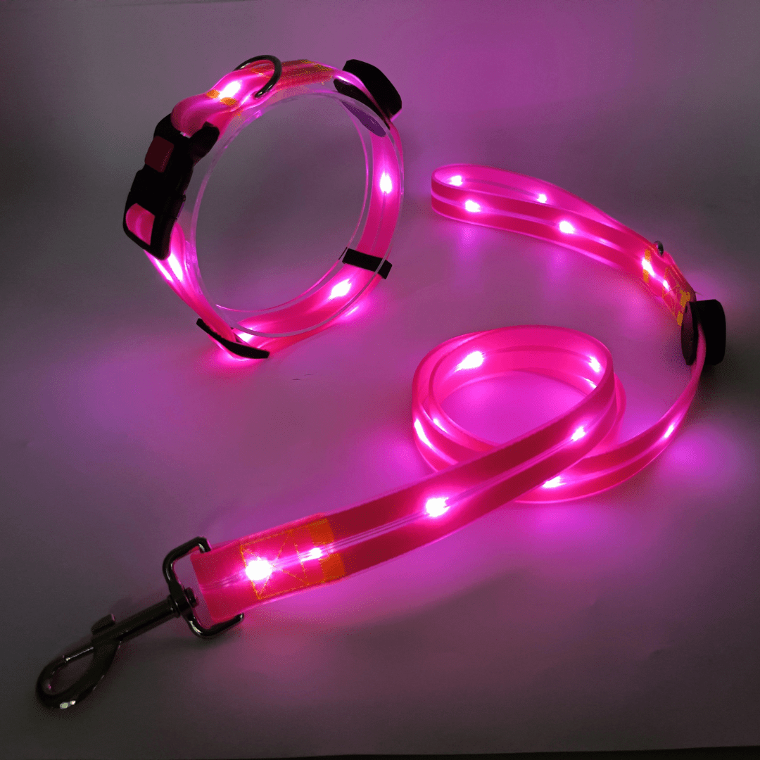 Led halsband en riem combinatie - By Lilo