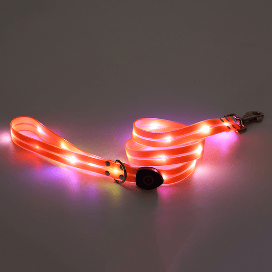 Lichtgevende LED hondenriemen - By Lilo