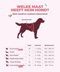 Reflecterend hondenharnas - By Lilo