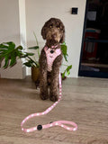 Reflecterende roze hondenriem - By Lilo