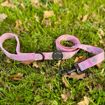 Roze Reflecterende Harnas + Riem Bundel - By Lilo