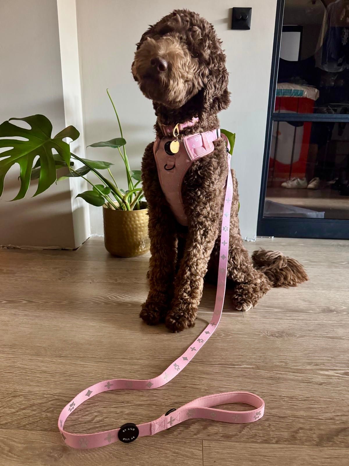 Roze Reflecterende Harnas + Riem Bundel - By Lilo