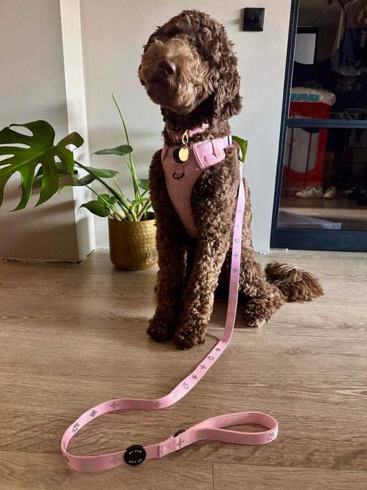 Roze Reflecterende Harnas + Riem Bundel - By Lilo