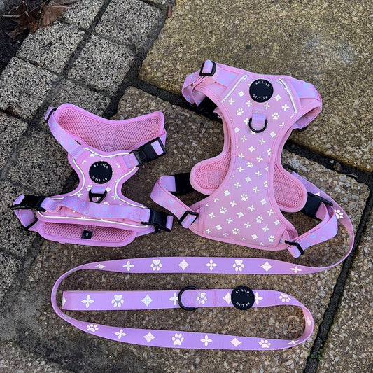 Roze Reflecterende Harnas + Riem Bundel - By Lilo